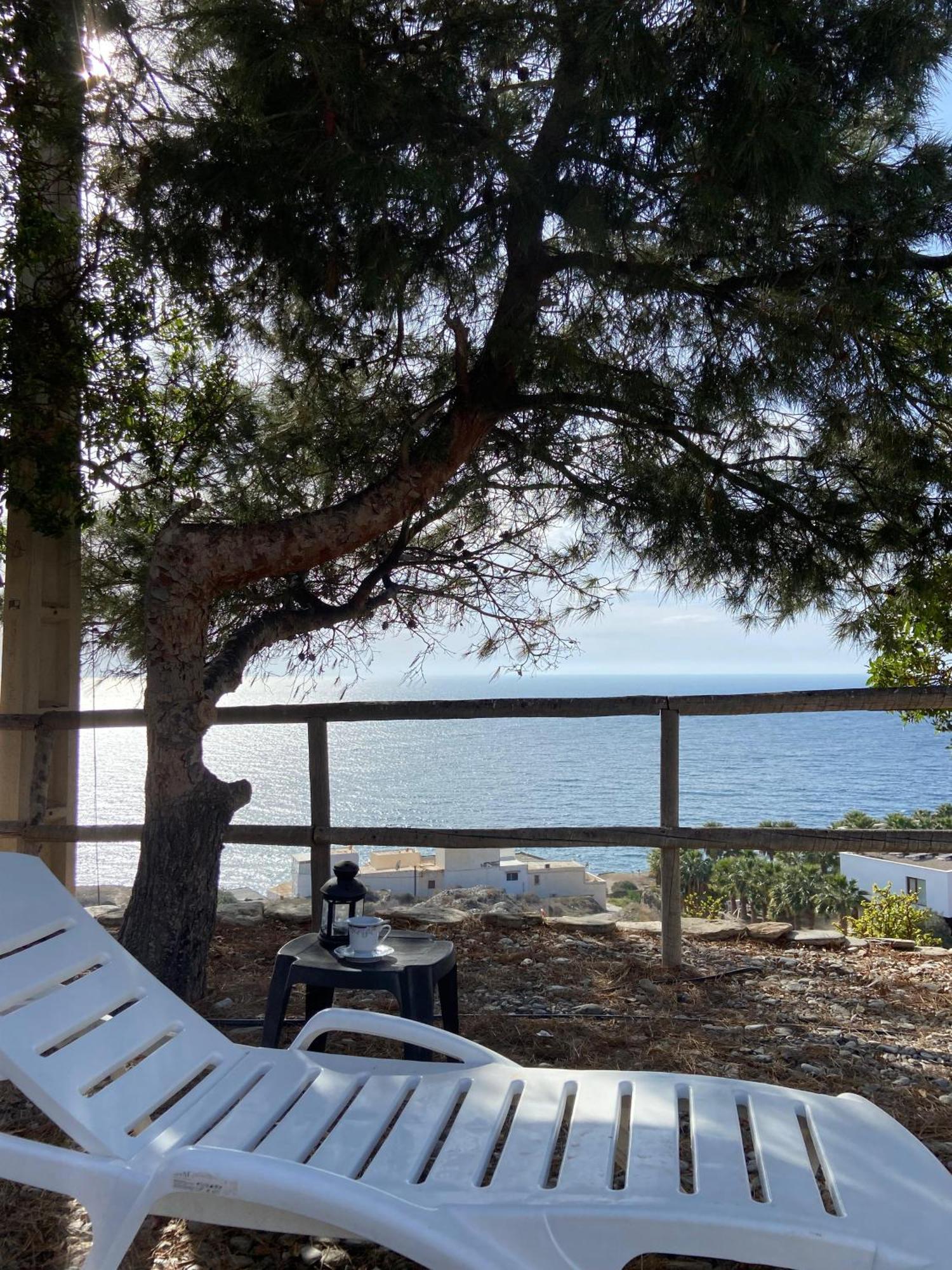 アドラ Vistas Al Marヴィラ エクステリア 写真