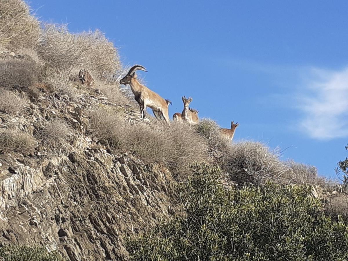 アドラ Vistas Al Marヴィラ エクステリア 写真